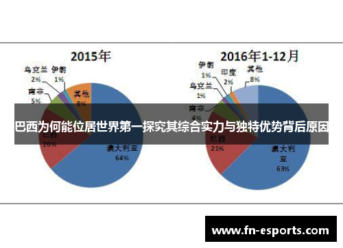 巴西为何能位居世界第一探究其综合实力与独特优势背后原因